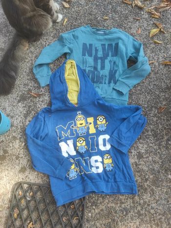 Lot 2 sweats 8 ans