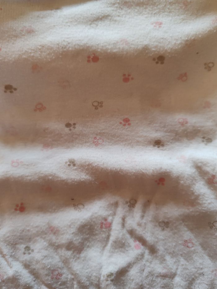 Lot bodies manches courtes - photo numéro 2