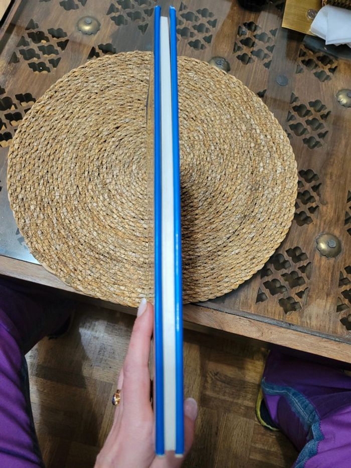 Y Mabinogi - photo numéro 11