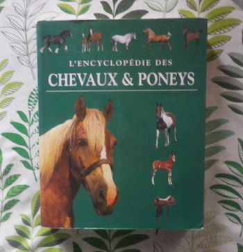 L'Encyclopédie des chevaux & poneys Ed. LLC
