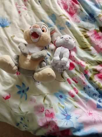 Peluche