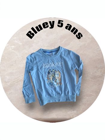 Pull Bluey garçon 5 ans