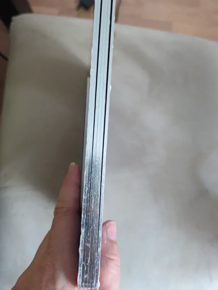 Livre enfant Masha et Michka : Joyeux Noël ! - photo numéro 3