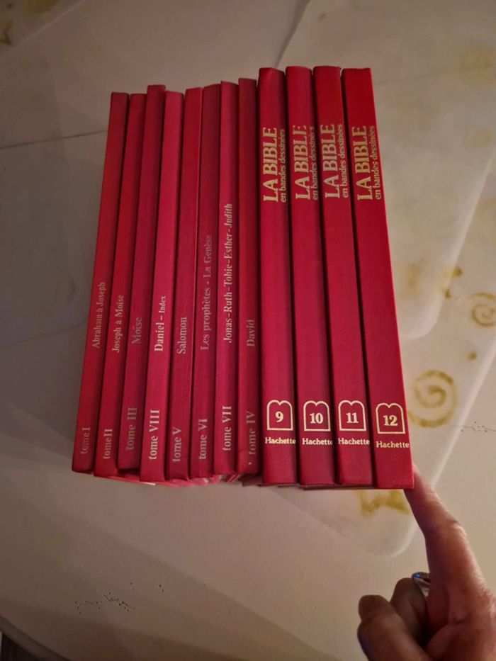 Histoire du peuple de dieu en BD. - photo numéro 14