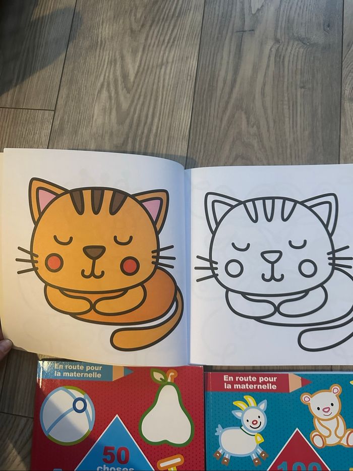 3 cahiers de coloriages - photo numéro 3