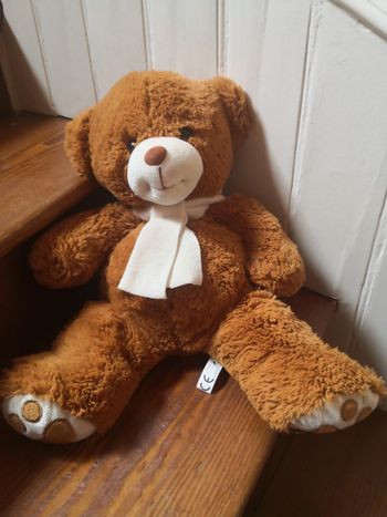 Ours en peluche