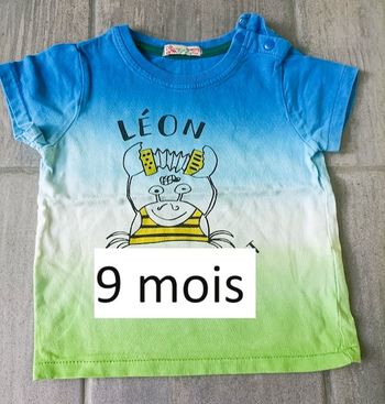 Lot n°166 T-shirt manches courtes Du pareil au même 9 mois