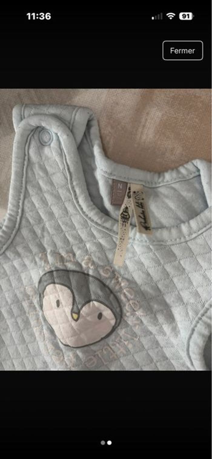 Ensemble pingouin - photo numéro 2