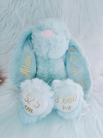 Peluche Lapin 