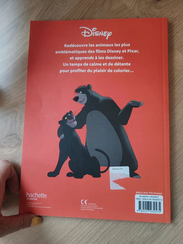 Livre coloriage Disney - photo numéro 3