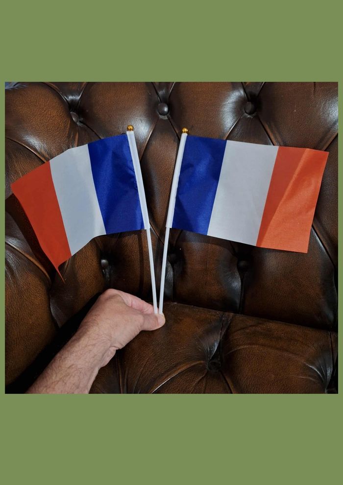 Pack Drapeaux France 1 Grand Format + 2 Mini Drapeaux à Main - photo numéro 3
