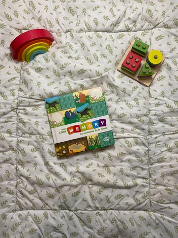 livre mon livre memory les animaux de la ferme