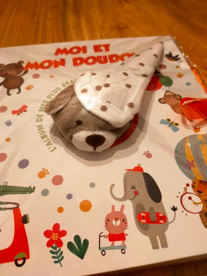 Moi et mon doudou - l'album de mes plus beaux souvenirs - photo numéro 2