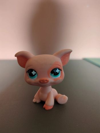 Littlest Petshop Cochon