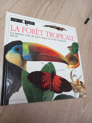 La forêt tropical 