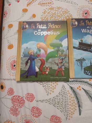 Livre le petit prince