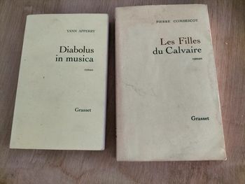 Lot de 2 livrés