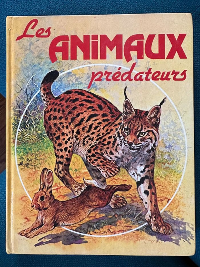 1981 Livre ancien rare Les Animaux Prédateurs Robert Dallet Lito Paris illustrateur Hermès