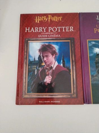 Livre Harry Potter
