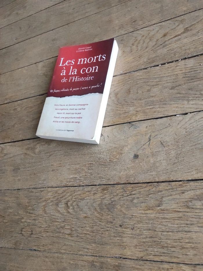 Les morts à la con de l'Histoire - photo numéro 3