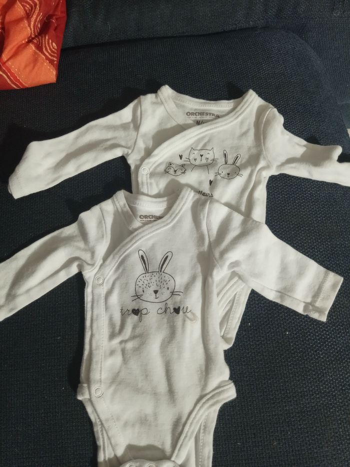 Lot 2 body orchestra