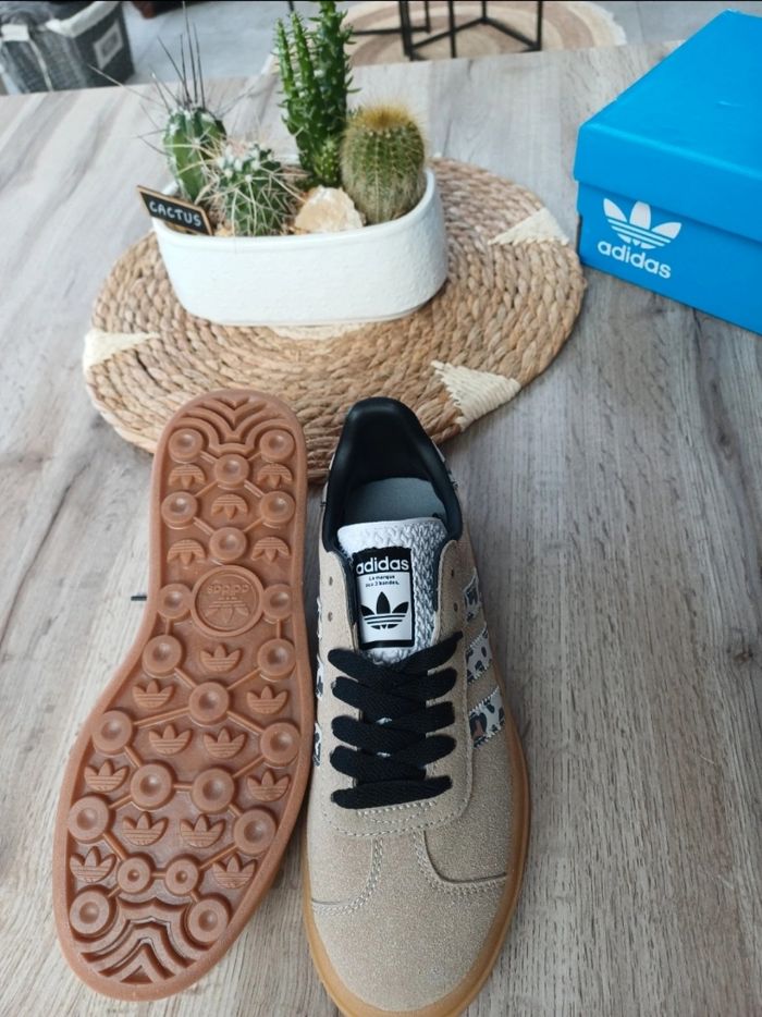 Magnifique Gazelle - photo numéro 6