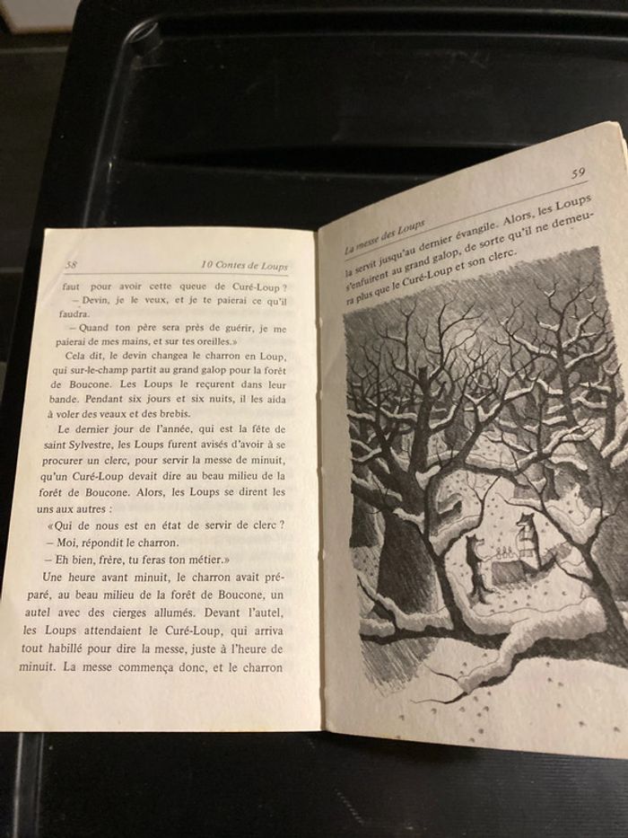 10 contes de loups - photo numéro 4