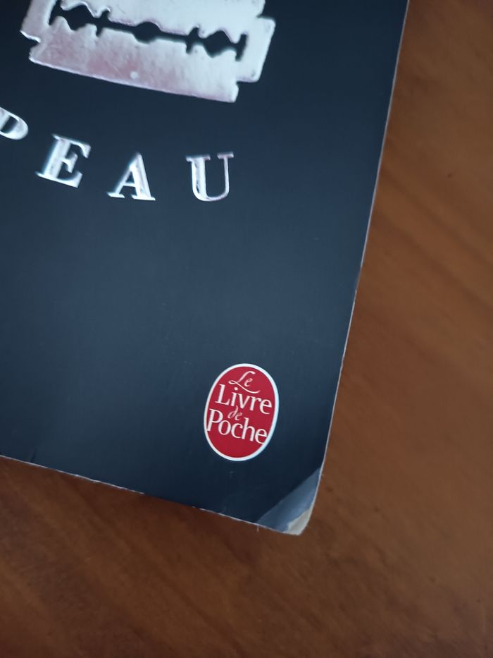 Livre sur ma peau - photo numéro 2