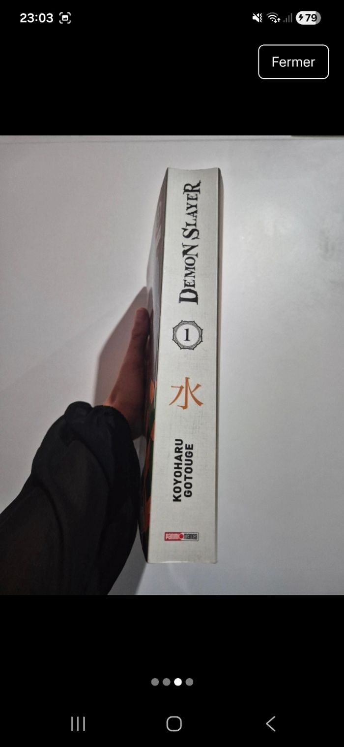 Demon Slayer - photo numéro 3