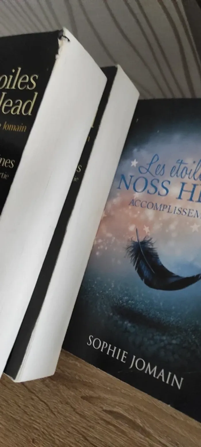 Les étoiles de Noss head - photo numéro 6