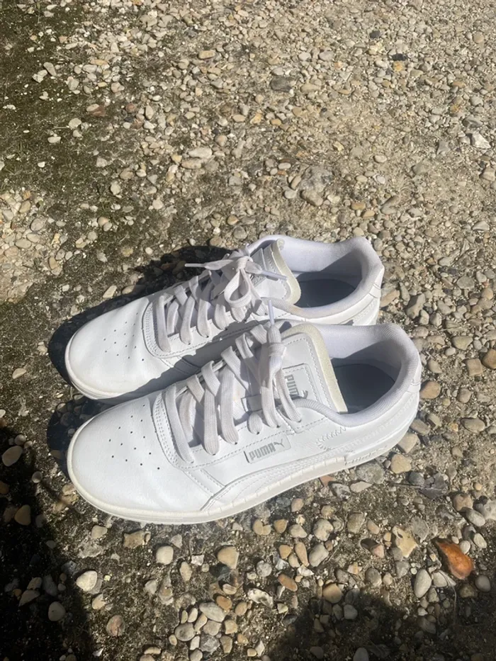 Puma blanches - photo numéro 4