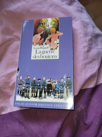 La guerre des boutons