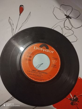 Vinyle des plus belle