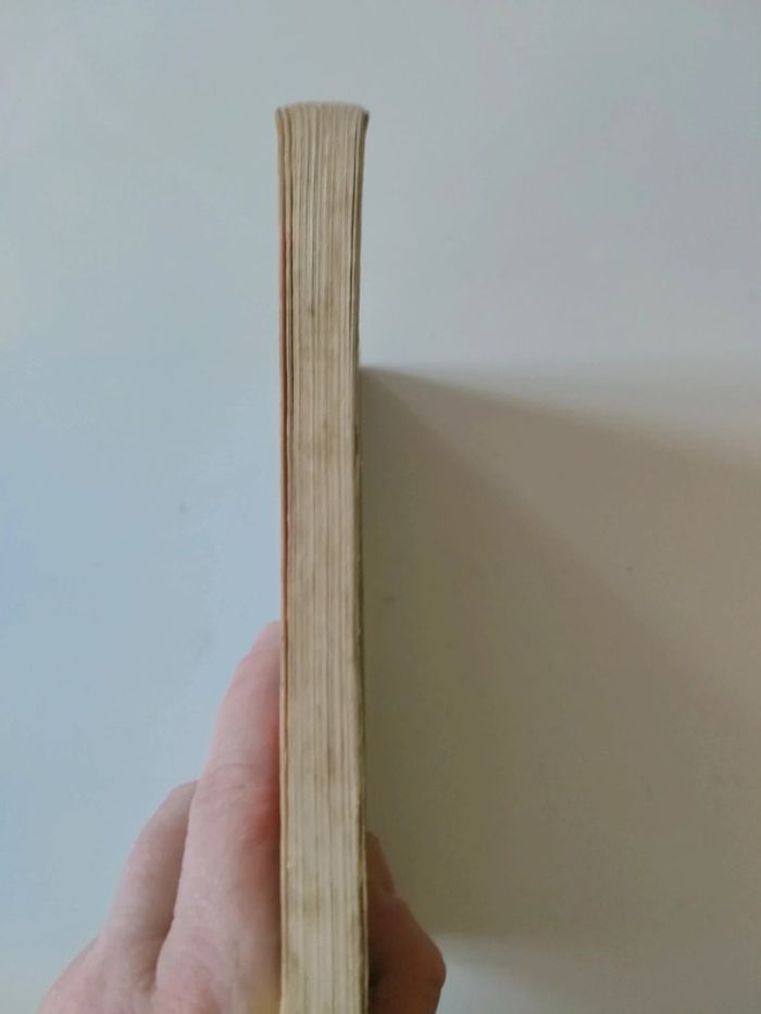 Livre chair de poule le fantôme du miroir - photo numéro 2