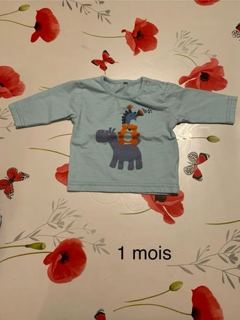 Pull motif animaux