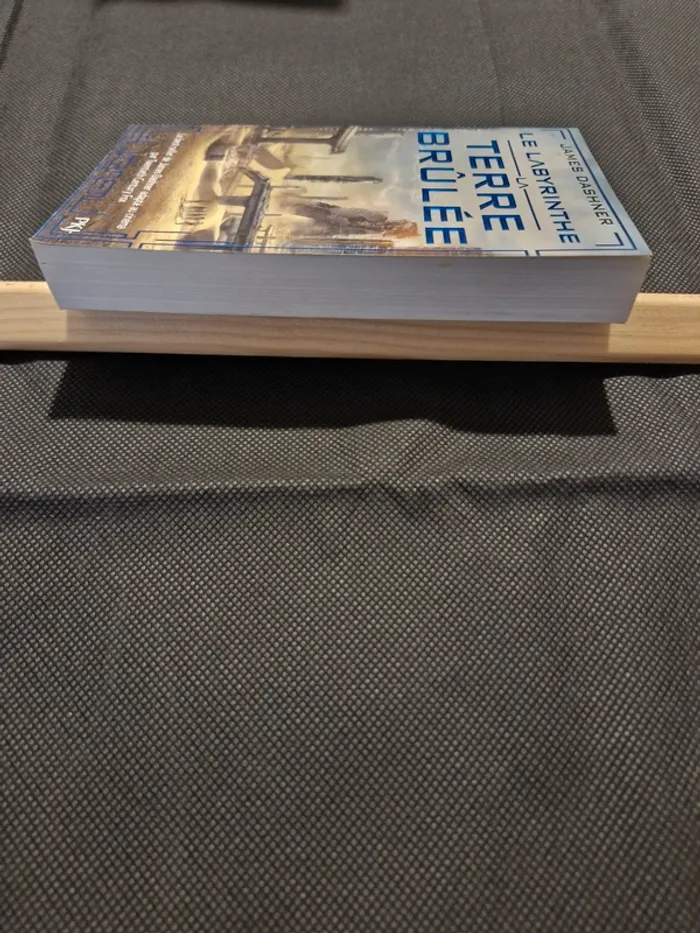 Le labyrinthe - L'épreuve Tome 2 - La terre brûlée - James Dashner - photo numéro 3