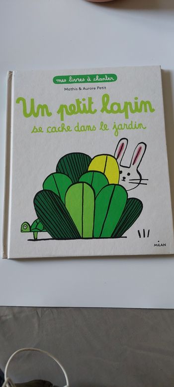 Livre Un petit lapin se cache
dans le jardin