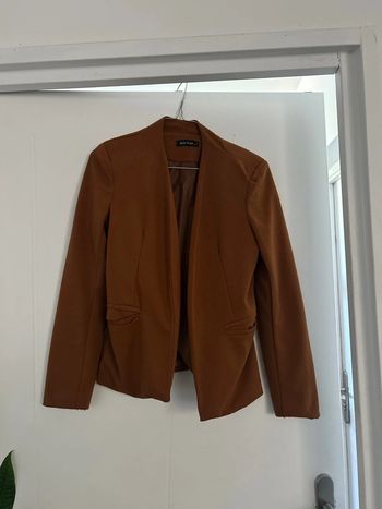 Blaser camel