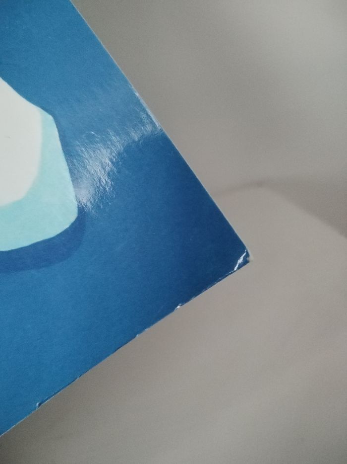 Livre : La mystérieuse baleine - photo numéro 9