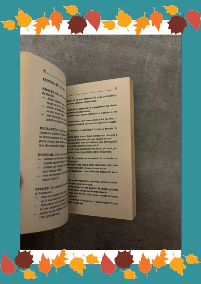 Livre vos rêves et la chance - photo numéro 2