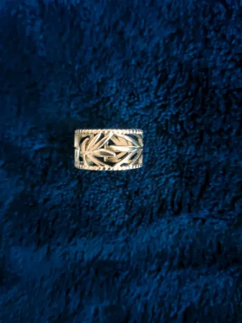 Bague en acier inoxydable