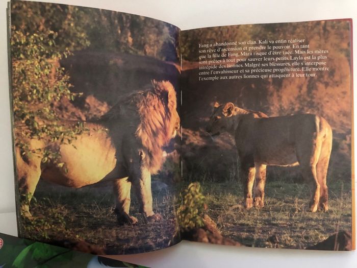 Livre Disney - photo numéro 3