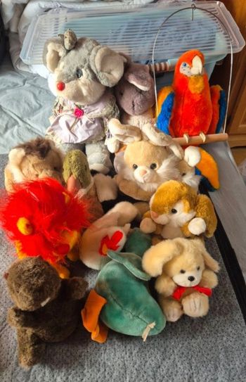 Lot de peluches taille petite à moyenne
