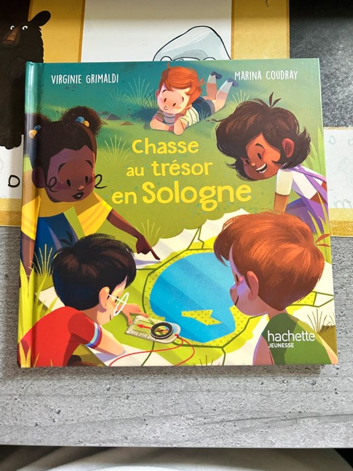 Livre chasse au trésor en sologne, histoire enfant Mc donalds, hachette