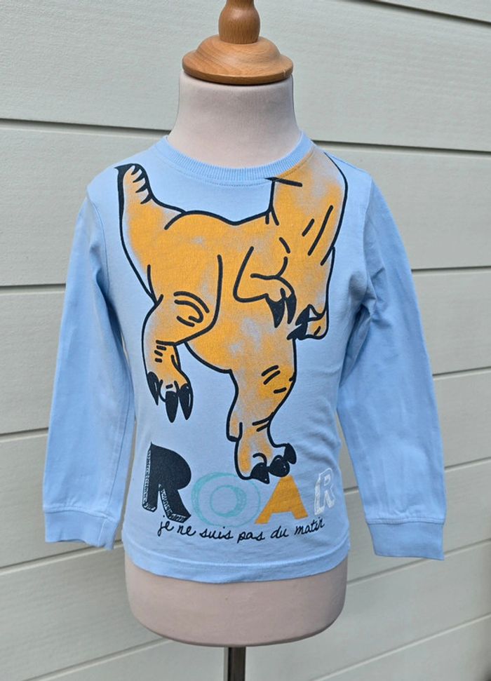 Tee-shirt dinosaure 4 ans