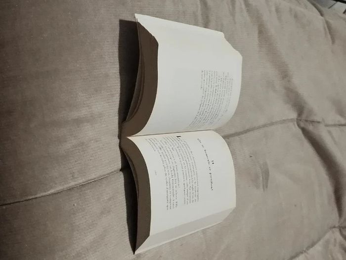 Livre jeunesse Le plus grand détective de tous les temps  7601238678 - photo numéro 5