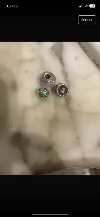 Lot 2 charms pandora
