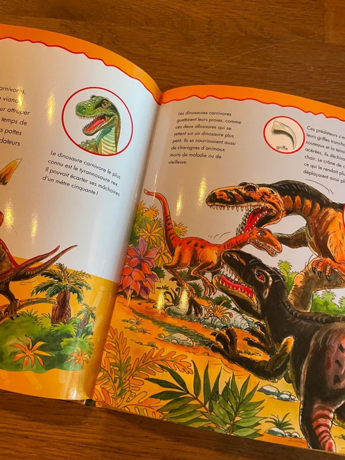 Livre Les dinosaures avec des pages lavables - photo numéro 7