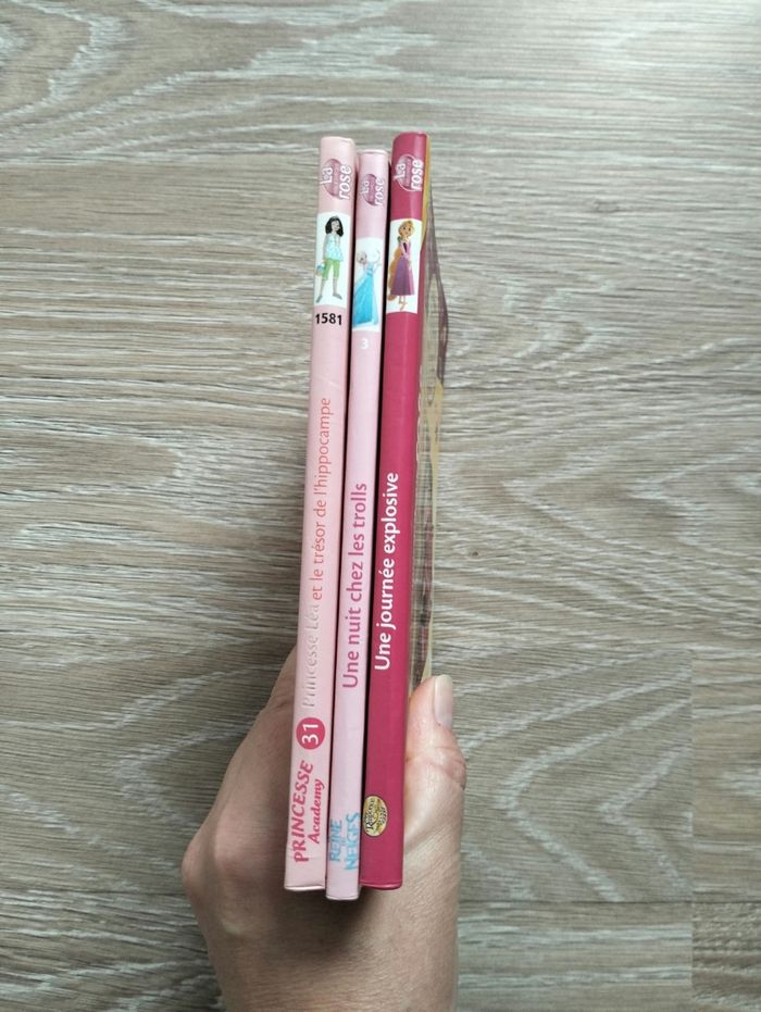 Lit de trois livres - photo numéro 2