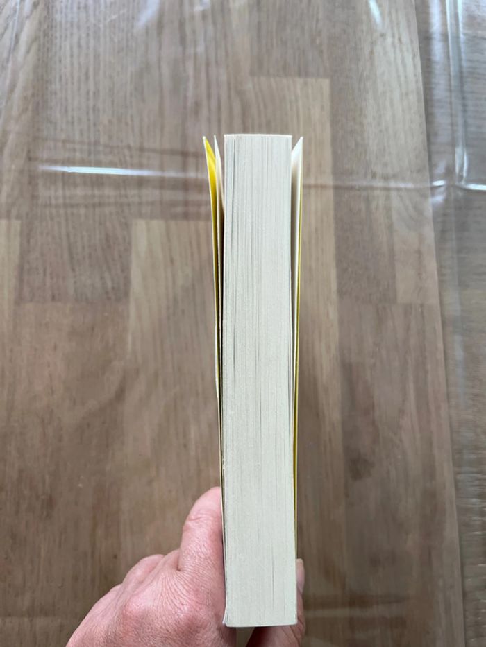 Livre les mille visages de notre histoire - photo numéro 3